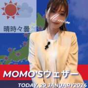 ヒメ日記 2024/01/29 05:35 投稿 桃瀬 ANECOTE