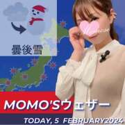 ヒメ日記 2024/02/05 05:35 投稿 桃瀬 ANECOTE