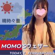 ヒメ日記 2024/02/07 05:35 投稿 桃瀬 ANECOTE