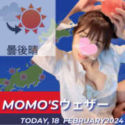 ヒメ日記 2024/02/18 05:35 投稿 桃瀬 ANECOTE