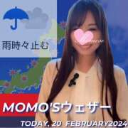 ヒメ日記 2024/02/20 05:35 投稿 桃瀬 ANECOTE