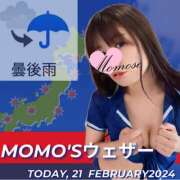 ヒメ日記 2024/02/21 05:35 投稿 桃瀬 ANECOTE