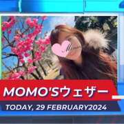 ヒメ日記 2024/02/29 05:35 投稿 桃瀬 ANECOTE