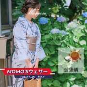 ヒメ日記 2024/05/26 06:38 投稿 桃瀬 ANECOTE