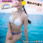 ヒメ日記 2024/08/15 06:25 投稿 桃瀬 ANECOTE