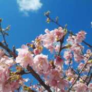 ヒメ日記 2025/03/09 11:06 投稿 みく ぽちゃらん神栖店