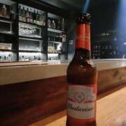 ヒメ日記 2025/04/03 09:56 投稿 みく ぽちゃらん神栖店