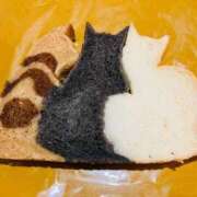 ヒメ日記 2025/03/22 09:33 投稿 おとは 川崎・東横人妻城