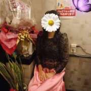 ヒメ日記 2024/12/15 17:31 投稿 はるみ 即アポマダム～名古屋店～