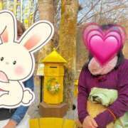 ヒメ日記 2025/04/06 21:29 投稿 はるみ 即アポマダム～名古屋店～