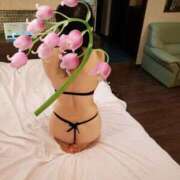 ヒメ日記 2025/05/31 22:51 投稿 はるみ 即アポマダム～名古屋店～