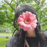 ヒメ日記 2025/06/08 18:03 投稿 はるみ 即アポマダム～名古屋店～