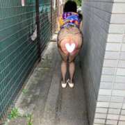 ヒメ日記 2025/06/14 11:43 投稿 はるみ 即アポマダム～名古屋店～