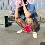 ヒメ日記 2025/06/16 17:05 投稿 はるみ 即アポマダム～名古屋店～