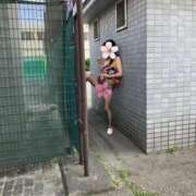 ヒメ日記 2025/06/27 12:38 投稿 はるみ 即アポマダム～名古屋店～