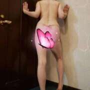 ヒメ日記 2025/07/06 07:51 投稿 はるみ 即アポマダム～名古屋店～