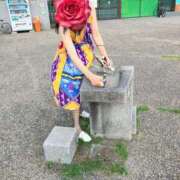 ヒメ日記 2025/07/08 08:06 投稿 はるみ 即アポマダム～名古屋店～