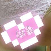 ヒメ日記 2025/07/26 07:51 投稿 はるみ 即アポマダム～名古屋店～