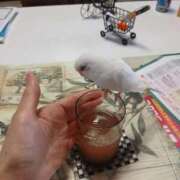 ヒメ日記 2025/09/08 20:32 投稿 はるみ 即アポマダム～名古屋店～