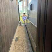 ヒメ日記 2025/11/01 16:59 投稿 はるみ 即アポマダム～名古屋店～