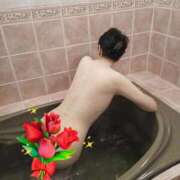 ヒメ日記 2025/11/04 07:58 投稿 はるみ 即アポマダム～名古屋店～