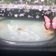 ヒメ日記 2025/11/04 12:02 投稿 はるみ 即アポマダム～名古屋店～