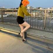 ヒメ日記 2025/11/08 19:01 投稿 はるみ 即アポマダム～名古屋店～