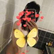 ヒメ日記 2025/11/12 09:53 投稿 はるみ 即アポマダム～名古屋店～