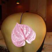 ヒメ日記 2025/11/24 12:31 投稿 はるみ 即アポマダム～名古屋店～