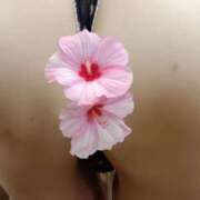 ヒメ日記 2025/12/20 09:30 投稿 はるみ 即アポマダム～名古屋店～