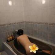 ヒメ日記 2025/12/31 21:41 投稿 はるみ 即アポマダム～名古屋店～