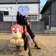 ヒメ日記 2026/01/26 08:41 投稿 はるみ 即アポマダム～名古屋店～