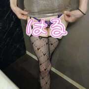 ヒメ日記 2026/02/03 11:01 投稿 はるみ 即アポマダム～名古屋店～