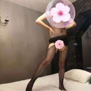 ヒメ日記 2026/02/03 13:01 投稿 はるみ 即アポマダム～名古屋店～