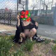 ヒメ日記 2026/02/19 09:41 投稿 はるみ 即アポマダム～名古屋店～