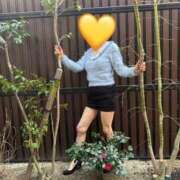 ヒメ日記 2026/02/20 08:43 投稿 はるみ 即アポマダム～名古屋店～