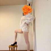 ヒメ日記 2026/03/05 08:31 投稿 はるみ 即アポマダム～名古屋店～