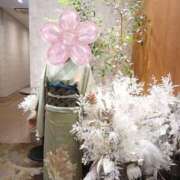 ヒメ日記 2026/03/24 10:34 投稿 はるみ 即アポマダム～名古屋店～