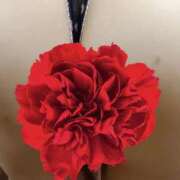 ヒメ日記 2026/03/24 19:25 投稿 はるみ 即アポマダム～名古屋店～