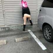 ヒメ日記 2026/03/26 06:41 投稿 はるみ 即アポマダム～名古屋店～