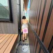 ヒメ日記 2026/03/26 16:31 投稿 はるみ 即アポマダム～名古屋店～