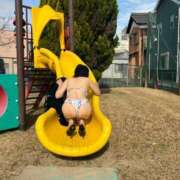 ヒメ日記 2026/04/03 08:51 投稿 はるみ 即アポマダム～名古屋店～