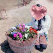 ヒメ日記 2026/04/11 12:55 投稿 はるみ 即アポマダム～名古屋店～