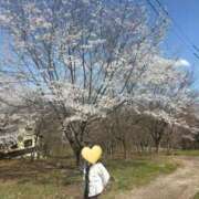 ヒメ日記 2026/04/11 21:21 投稿 はるみ 即アポマダム～名古屋店～