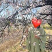 ヒメ日記 2026/04/12 22:16 投稿 はるみ 即アポマダム～名古屋店～