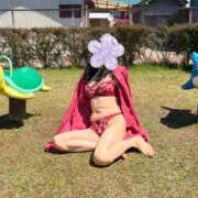 ヒメ日記 2026/04/16 11:48 投稿 はるみ 即アポマダム～名古屋店～