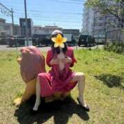 ヒメ日記 2026/04/16 16:55 投稿 はるみ 即アポマダム～名古屋店～