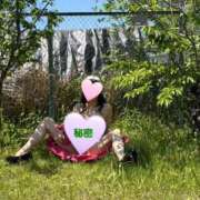 ヒメ日記 2026/04/17 22:51 投稿 はるみ 即アポマダム～名古屋店～