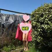 ヒメ日記 2026/04/18 07:31 投稿 はるみ 即アポマダム～名古屋店～