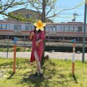 ヒメ日記 2026/04/21 08:51 投稿 はるみ 即アポマダム～名古屋店～